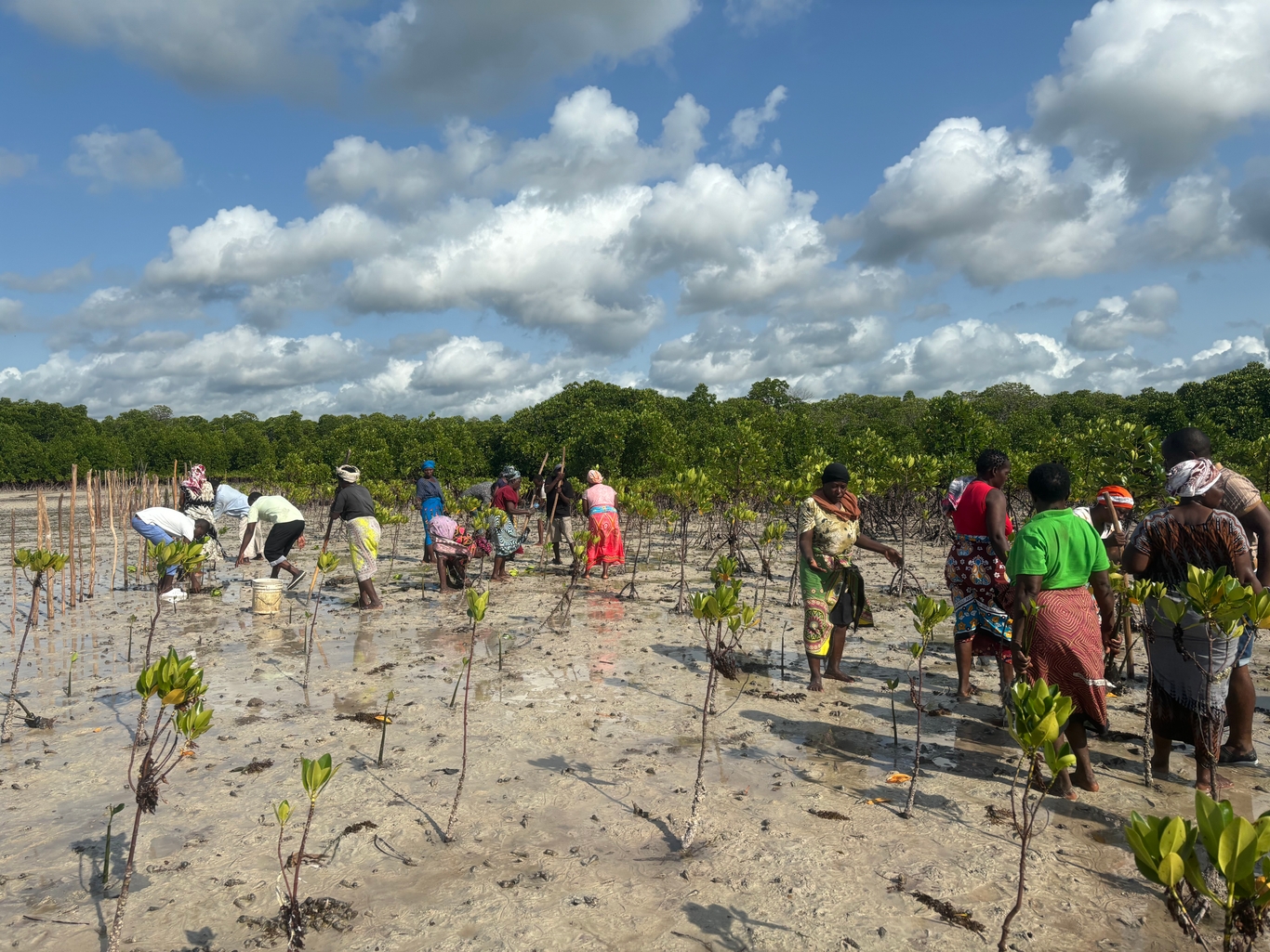 Quadrature Climate Foundation photo